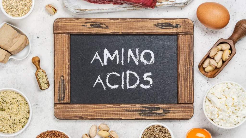 Amino acid food sources. 